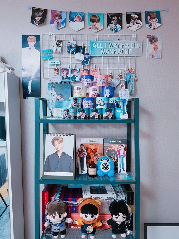 소장욕구 + 인테리어욕구를 불러일으키는 남의 덕후존 구경하기.jpg | 인스티즈