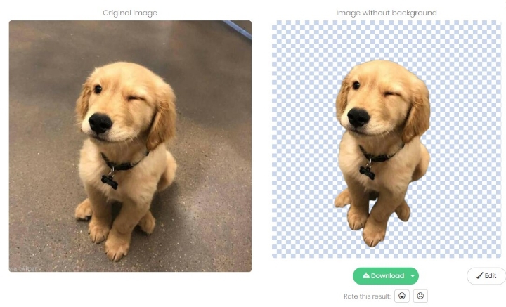 배경을 지워주는 사이트 | 인스티즈