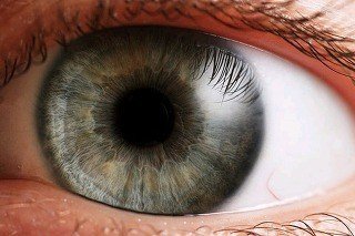신기한 다양한 눈동자 색들 | 인스티즈