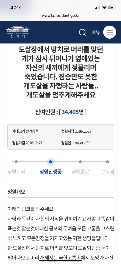개가 도살장에서 망치로 머리를 맞던 와중에 새끼에게 젖을 물리다 죽었어 | 인스티즈