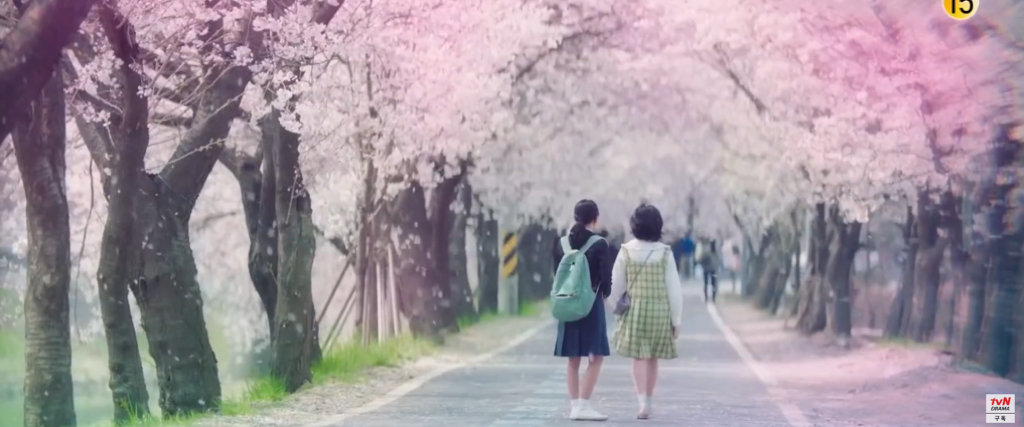 첫사랑인 편지 주인을 찾았는데.. 다른 사람을 사랑해버렸다.gif | 인스티즈