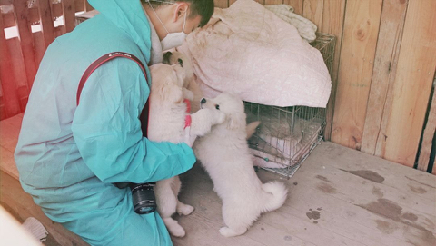 생일날 간식차 끌고 몰래 팬들 유기견 봉사활동 현장 찾아간 오늘자 태연.jpg | 인스티즈