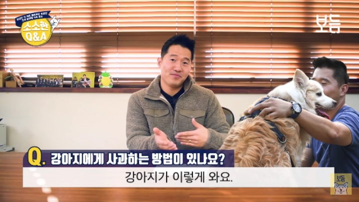 강아지 모르고 쳤을때 사과하는 방법.jpg | 인스티즈