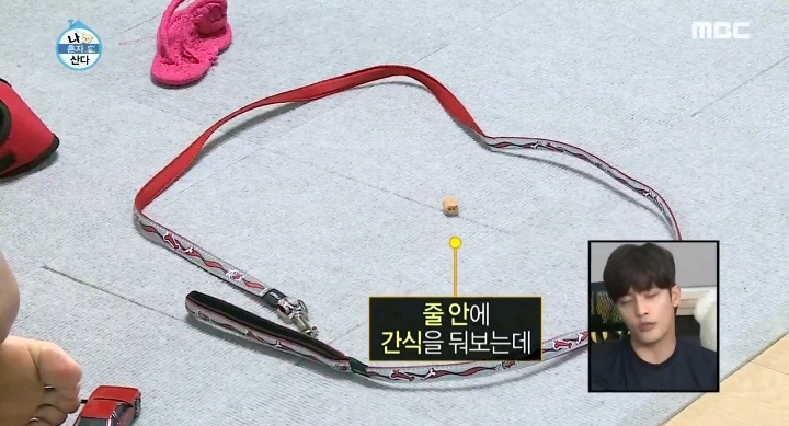 배우 성훈이 입양한 유기견 양희가 가지고 있던 트라우마 | 인스티즈