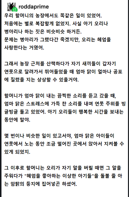 최고의 양부모님.jpg | 인스티즈
