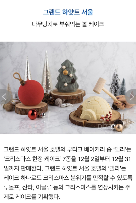 2019년 크리스마스 시즌 케익(프랜차이즈&amp;호텔) | 인스티즈