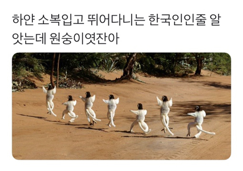 하얀 소복 입고 뛰는 한국인인줄 알았는데 | 인스티즈
