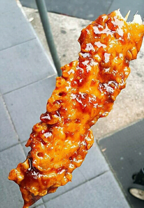 꼬치리아 이미지