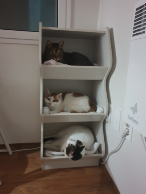 의도 이미지