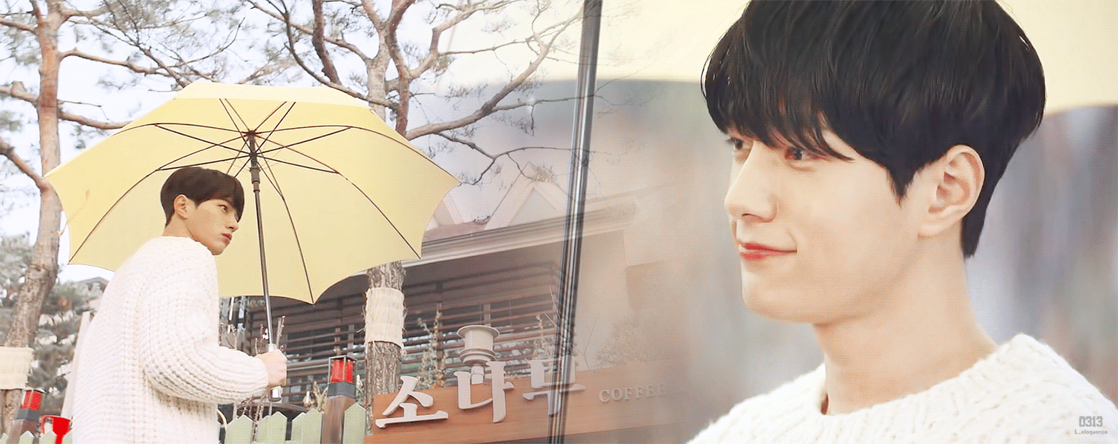 [어서와] 사람 아니고 고양이 X 강아지 아니고 사람.gif | 인스티즈