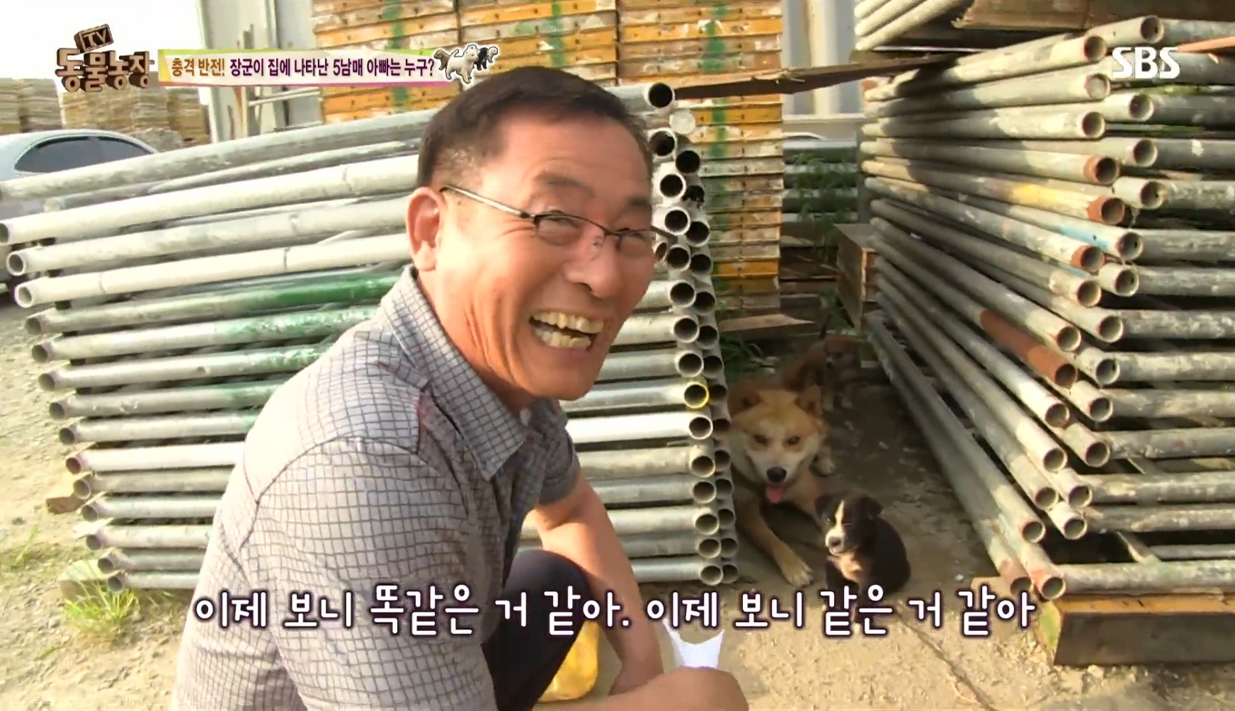 어떤 개가 우리 집에 새끼만 낳아 놓고 안 와요;; 3 | 인스티즈