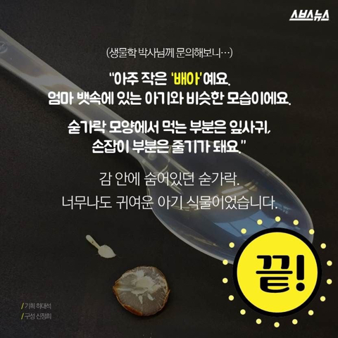 감안에 들어있는 숟가락 | 인스티즈