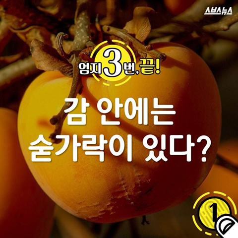 감안에 들어있는 숟가락 | 인스티즈