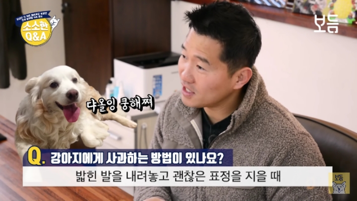 강아지 모르고 쳤을때 사과하는 방법.jpg | 인스티즈