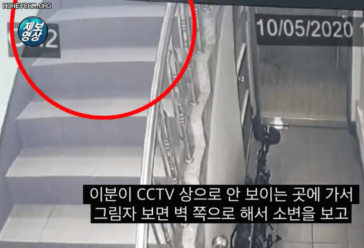 치킨을 시켰더니 배달원이 복도에 오줌싸고 감.jpgif | 인스티즈