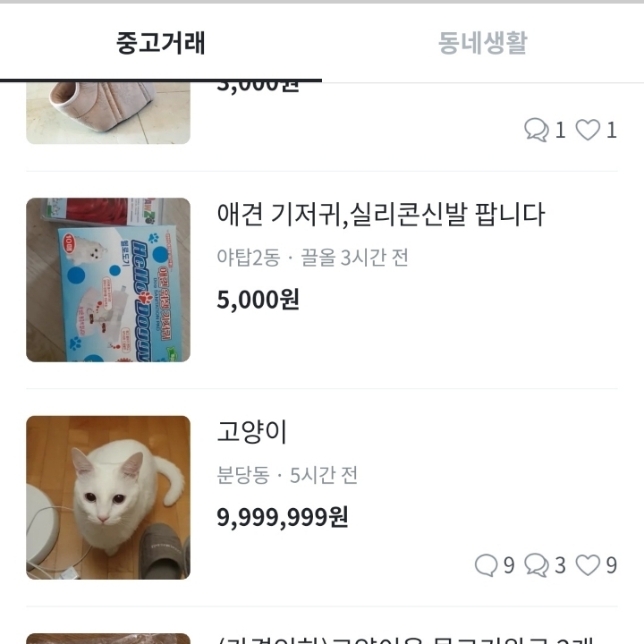 미친 중고마켓에 고양이올림 | 인스티즈