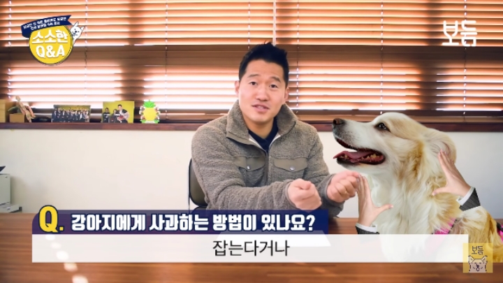 강아지 모르고 쳤을때 사과하는 방법.jpg | 인스티즈