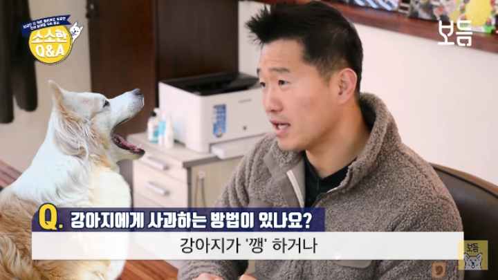 강아지 모르고 쳤을때 사과하는 방법.jpg | 인스티즈