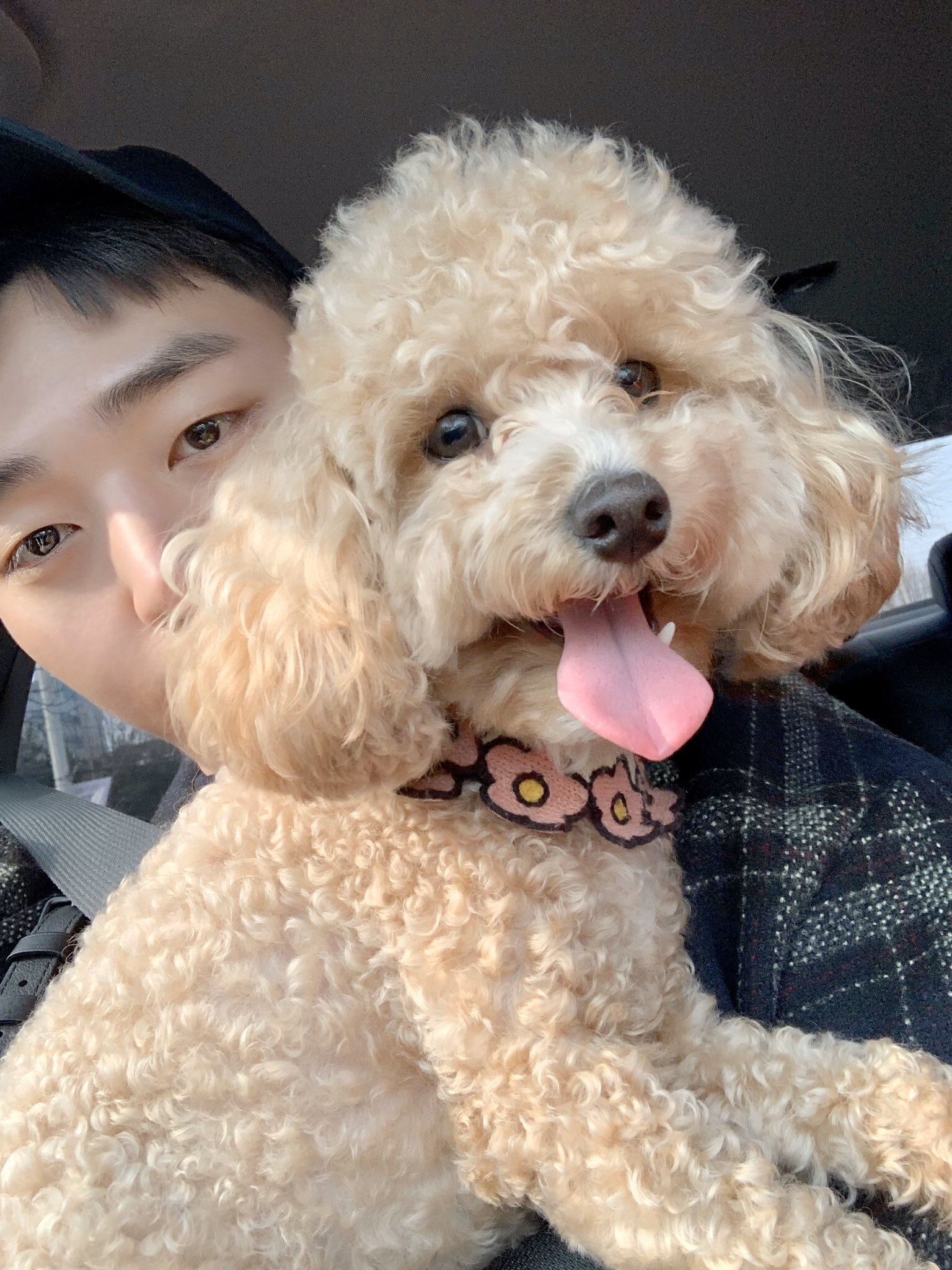 김호두 이미지