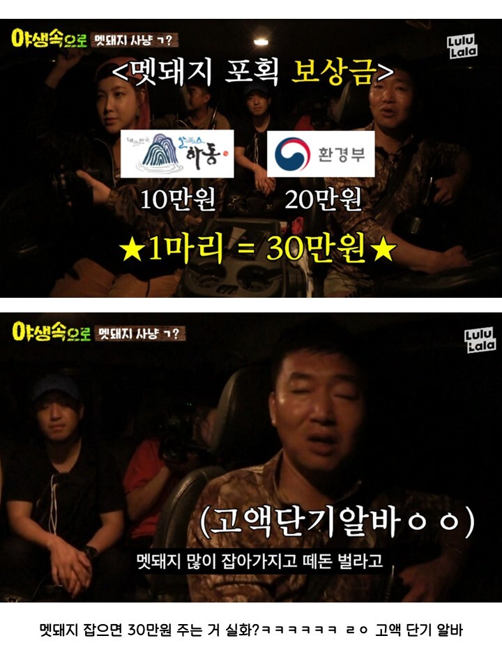 목숨 걸고 하는 단기 고액 알바의 정체 | 인스티즈