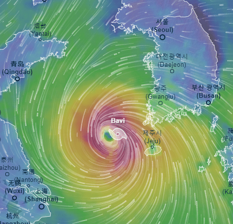 8호 태풍 바비와 발생 예정인 9호 태풍 마이삭 비교 | 인스티즈