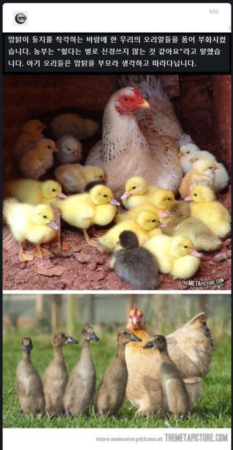 최고의 양부모님.jpg | 인스티즈