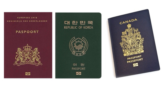 우리나라에서 활동하는 연예인 중 국적이 가장 많은 연예인 | 인스티즈