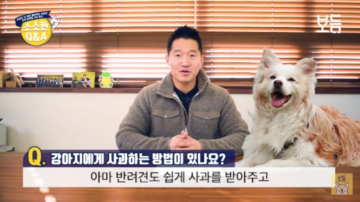 강아지 모르고 쳤을때 사과하는 방법.jpg | 인스티즈