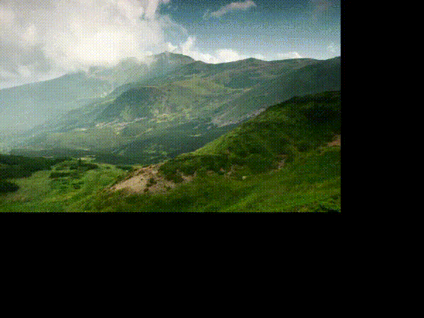 합성 장인이 숲 하나 뚝딱 만들어내는 과정 | 인스티즈