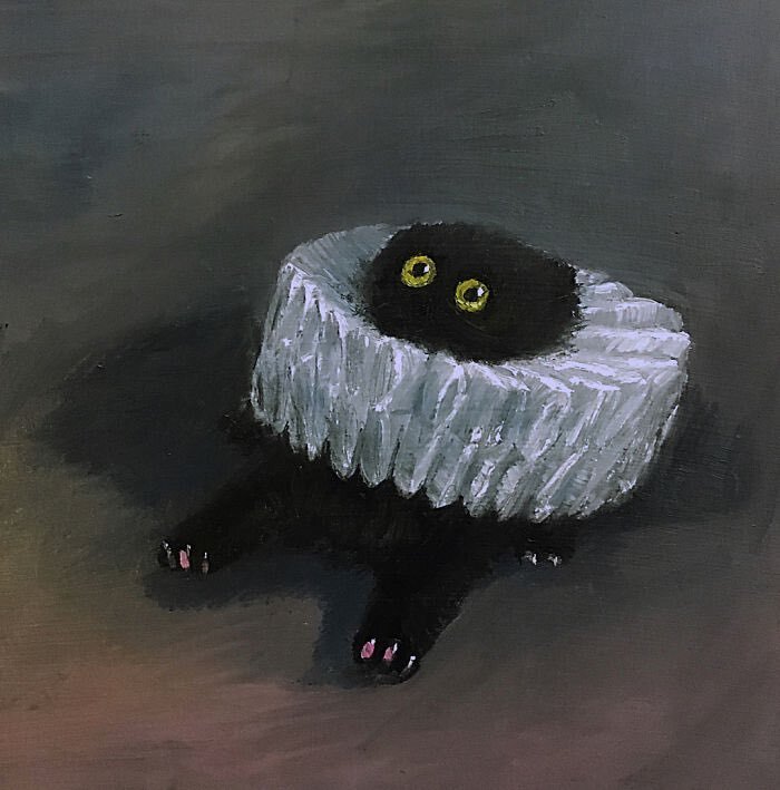 앙큼한고양이 이미지