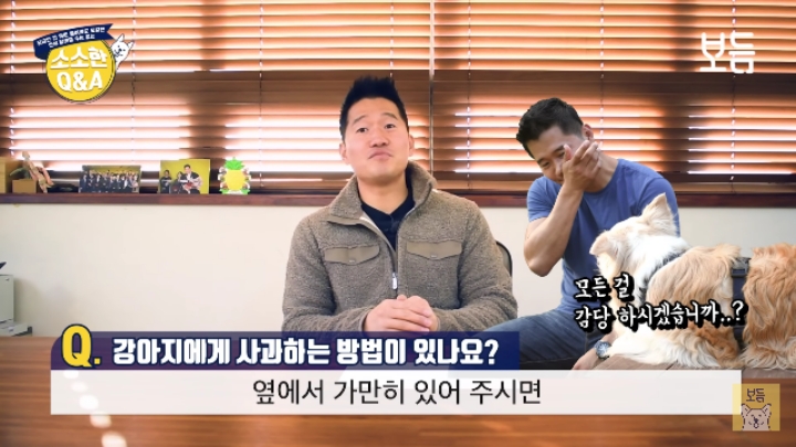 강아지 모르고 쳤을때 사과하는 방법.jpg | 인스티즈