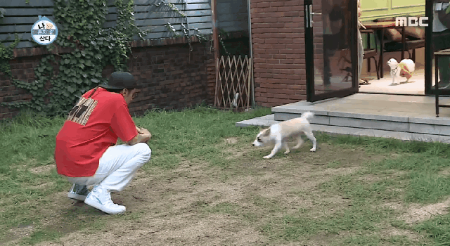 배우 성훈이 입양한 유기견 양희가 가지고 있던 트라우마 | 인스티즈