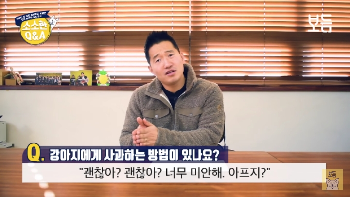 강아지 모르고 쳤을때 사과하는 방법.jpg | 인스티즈