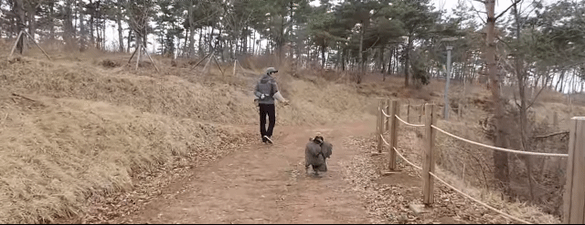 지도 나름 삵이라고...하악거리는 애기 삵 ㅋㅋㅋㅋ | 인스티즈