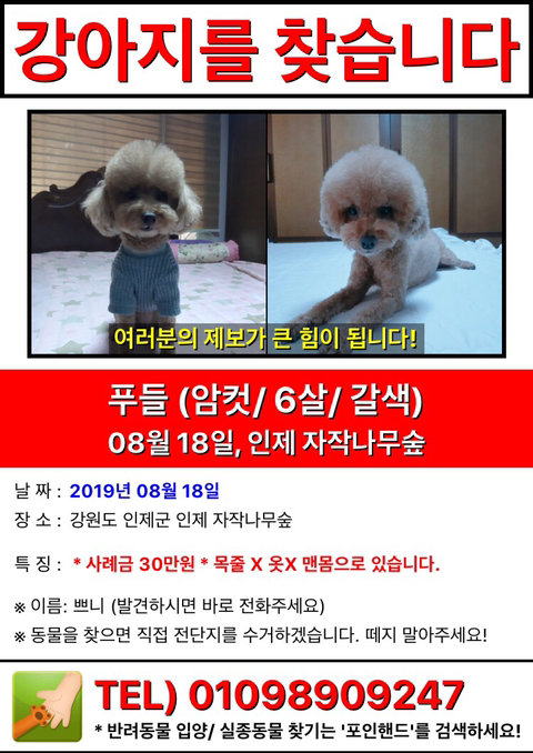 쁘니고 이미지