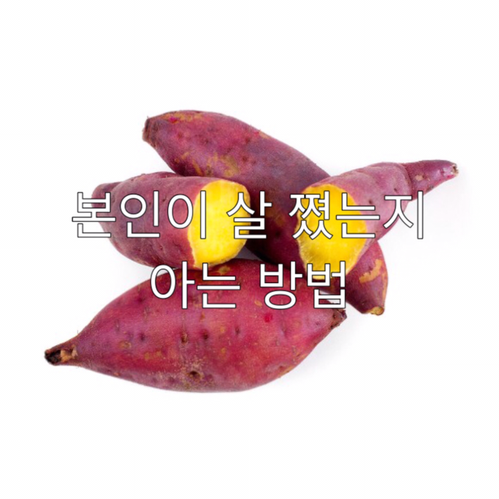 본인이 살 쪘는지 아는 방법.jpg | 인스티즈