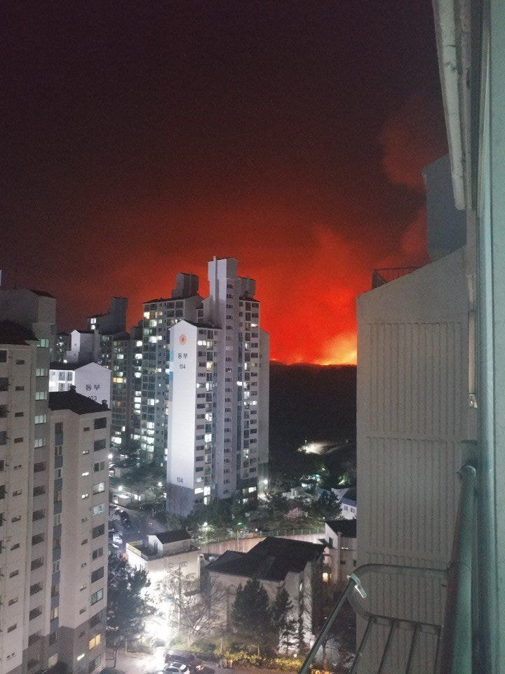 실시간 속초 산불 시내로까지 퍼지는중 | 인스티즈