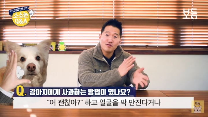 강아지 모르고 쳤을때 사과하는 방법.jpg | 인스티즈