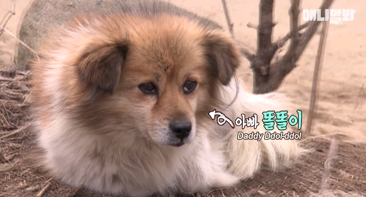 나만 점박이 없어...ㅠ 다른 형아들 다 점박이 있고 나만 없어....ㅜㅜ | 인스티즈
