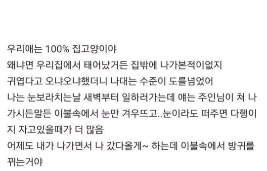 만수르도 자기 똥은 자기가 닦는데.jpg | 인스티즈