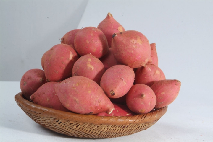 a662e58d5aa25e33f7e9da38b08c794b1cf673f0