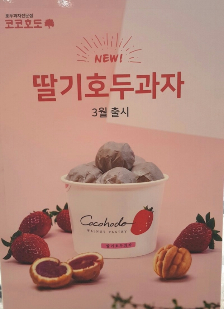 코코호도 이미지