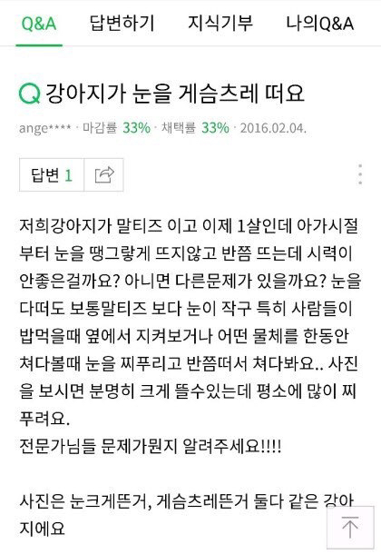 강아지가 눈을 게슴츠레 뜬 이유 | 인스티즈