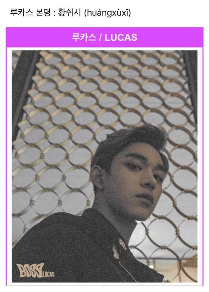 제노예여 모음.jpg | 인스티즈