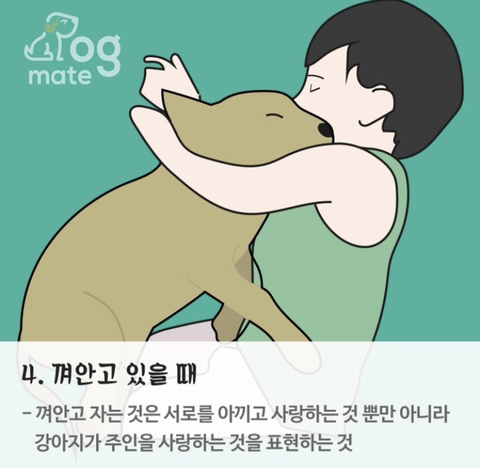자는 자세로 보는 나와 강아지의 관계 | 인스티즈