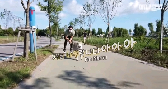 처음 보는 갱얼쥐 산책법 | 인스티즈