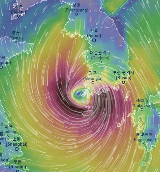 8호 태풍 바비와 발생 예정인 9호 태풍 마이삭 비교 | 인스티즈