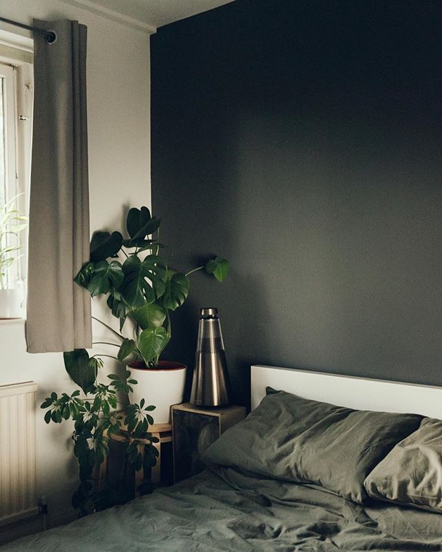 그린을 활용한 컬러 인테리어 | 인스티즈