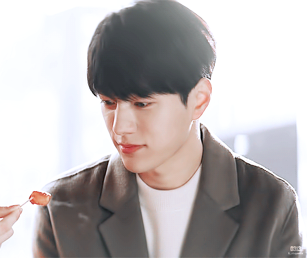 [어서와] 사람 아니고 고양이 X 강아지 아니고 사람.gif | 인스티즈