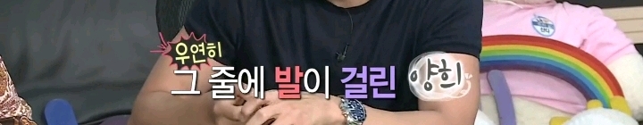 배우 성훈이 입양한 유기견 양희가 가지고 있던 트라우마 | 인스티즈